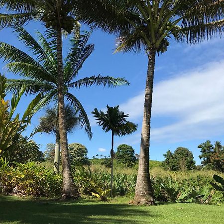 Island Goode'S - Luxury Adult Only Accommodation Near Hilo Papaikou Exterior foto