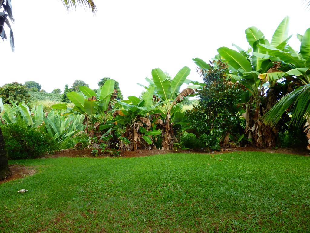 Island Goode'S - Luxury Adult Only Accommodation Near Hilo Papaikou Exterior foto