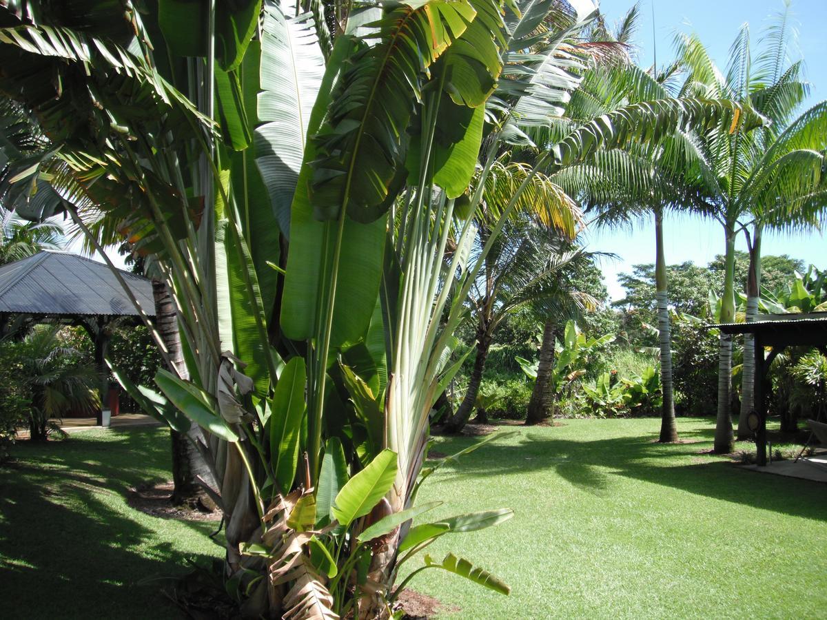 Island Goode'S - Luxury Adult Only Accommodation Near Hilo Papaikou Exterior foto