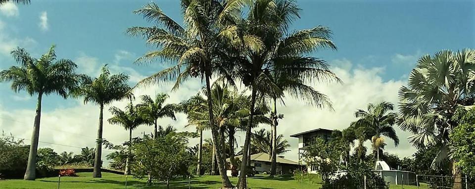 Island Goode'S - Luxury Adult Only Accommodation Near Hilo Papaikou Exterior foto